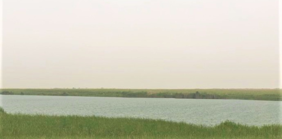 尼雅遺址